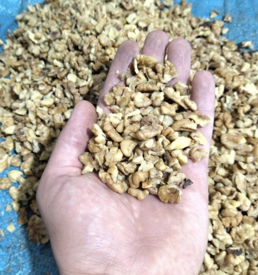 مغز گردو دندانه